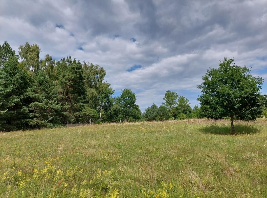 Działka budowlana Warnowo. Zdjęcie 12