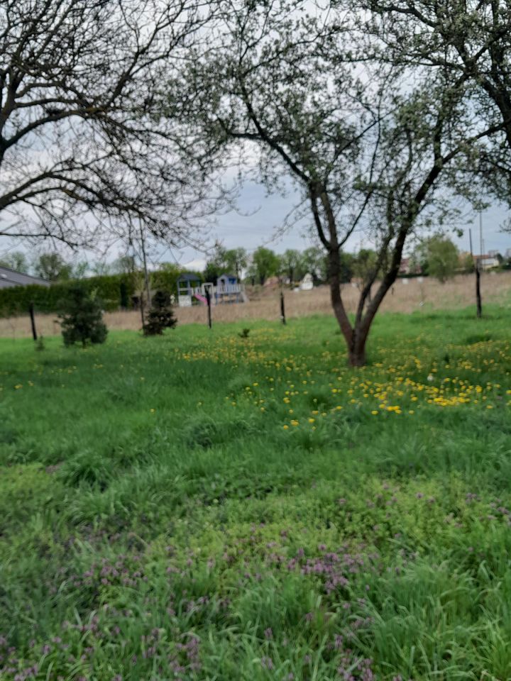 Działka budowlana Lubin Stary Lubin, ul. Przemysłowa. Zdjęcie 5