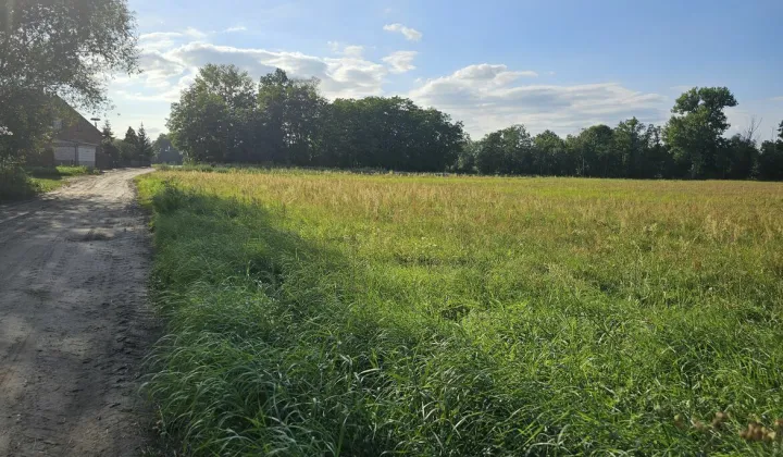 Działka rolno-budowlana Terespol