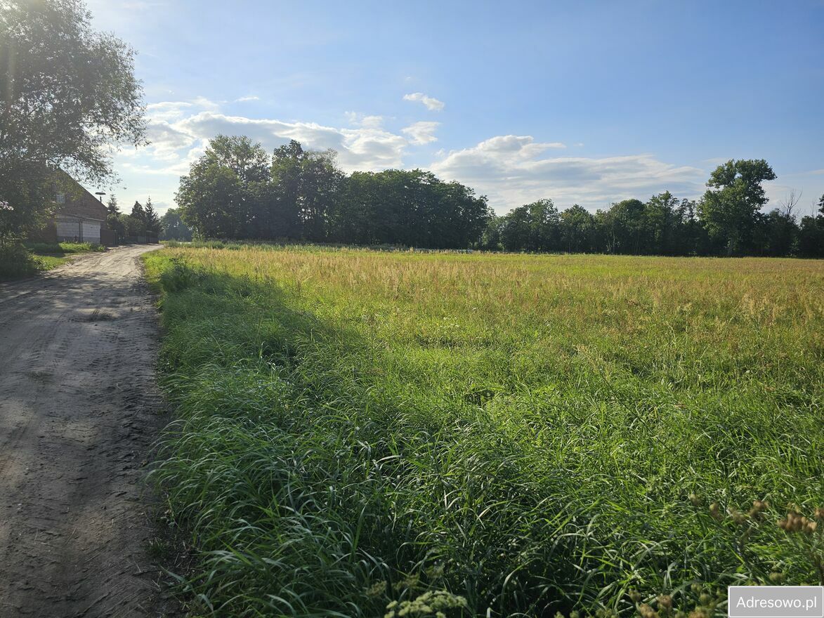 Działka rolno-budowlana Terespol