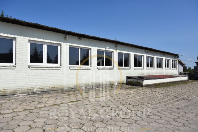 Lokal Łucka-Kolonia. Zdjęcie 2