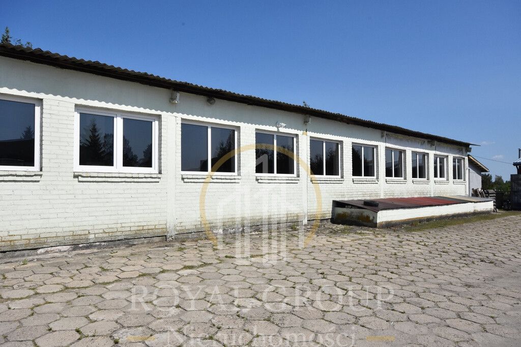 Lokal Łucka-Kolonia. Zdjęcie 2