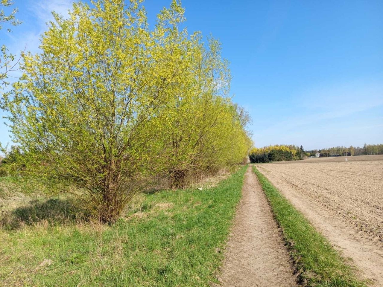Działka budowlana Waliszewo. Zdjęcie 3