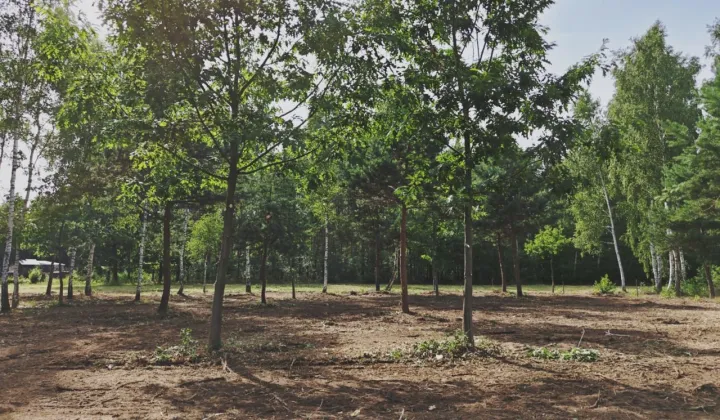 Działka budowlana Stanisławów, ul. Jasna