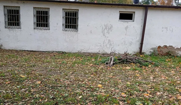 Hala/magazyn Kiszkowo