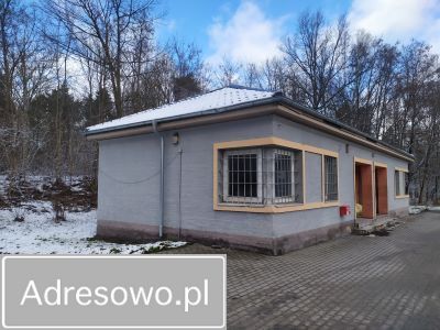 Lokal Zielonka. Zdjęcie 3