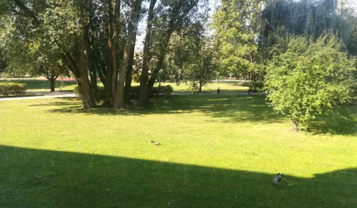 Mieszkanie 4-pokojowe Inowrocław, ul. Długa