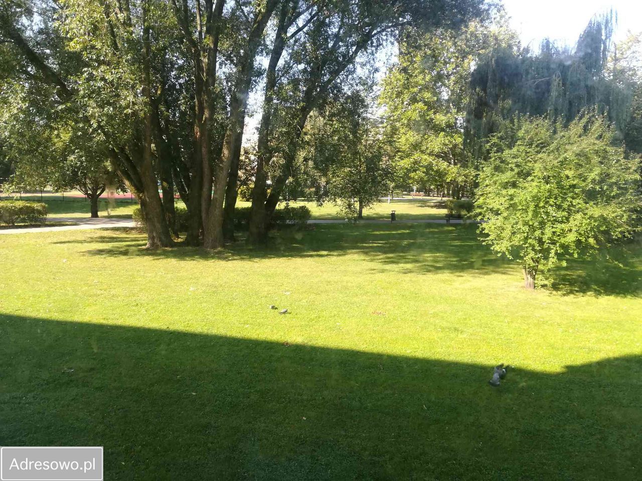 Mieszkanie 4-pokojowe Inowrocław, ul. Długa. Zdjęcie 4