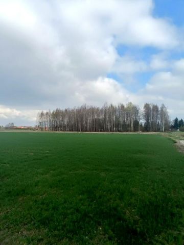 Działka budowlana Świerzowa Polska. Zdjęcie 4