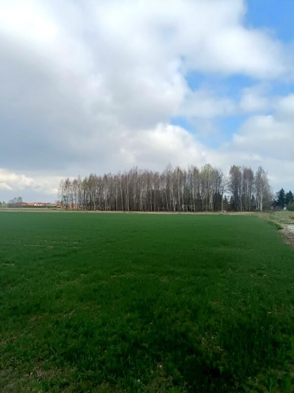 Działka budowlana Świerzowa Polska. Zdjęcie 4