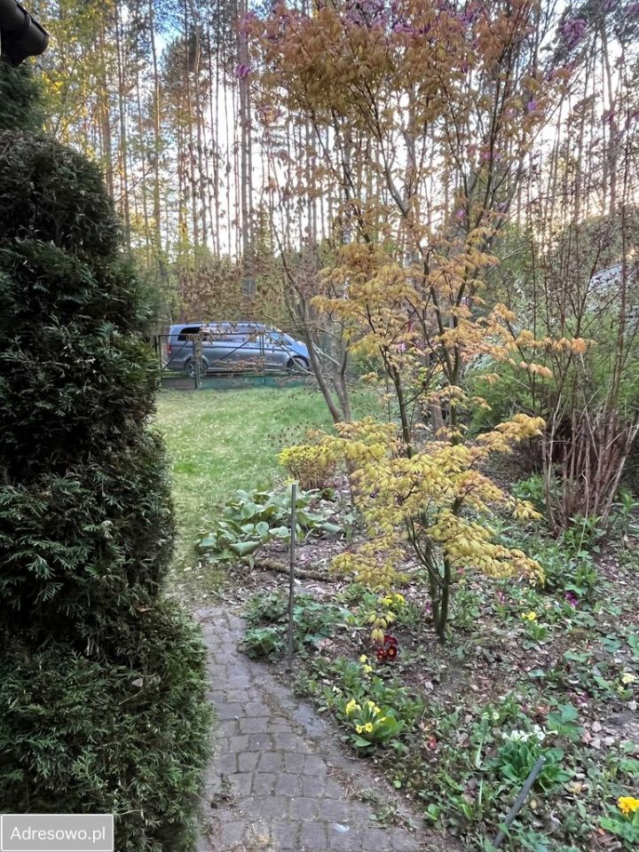 Działka rekreacyjna Rosanów, ul. Młynarska. Zdjęcie 17