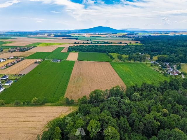 Działka siedliskowa Zachowice. Zdjęcie 8