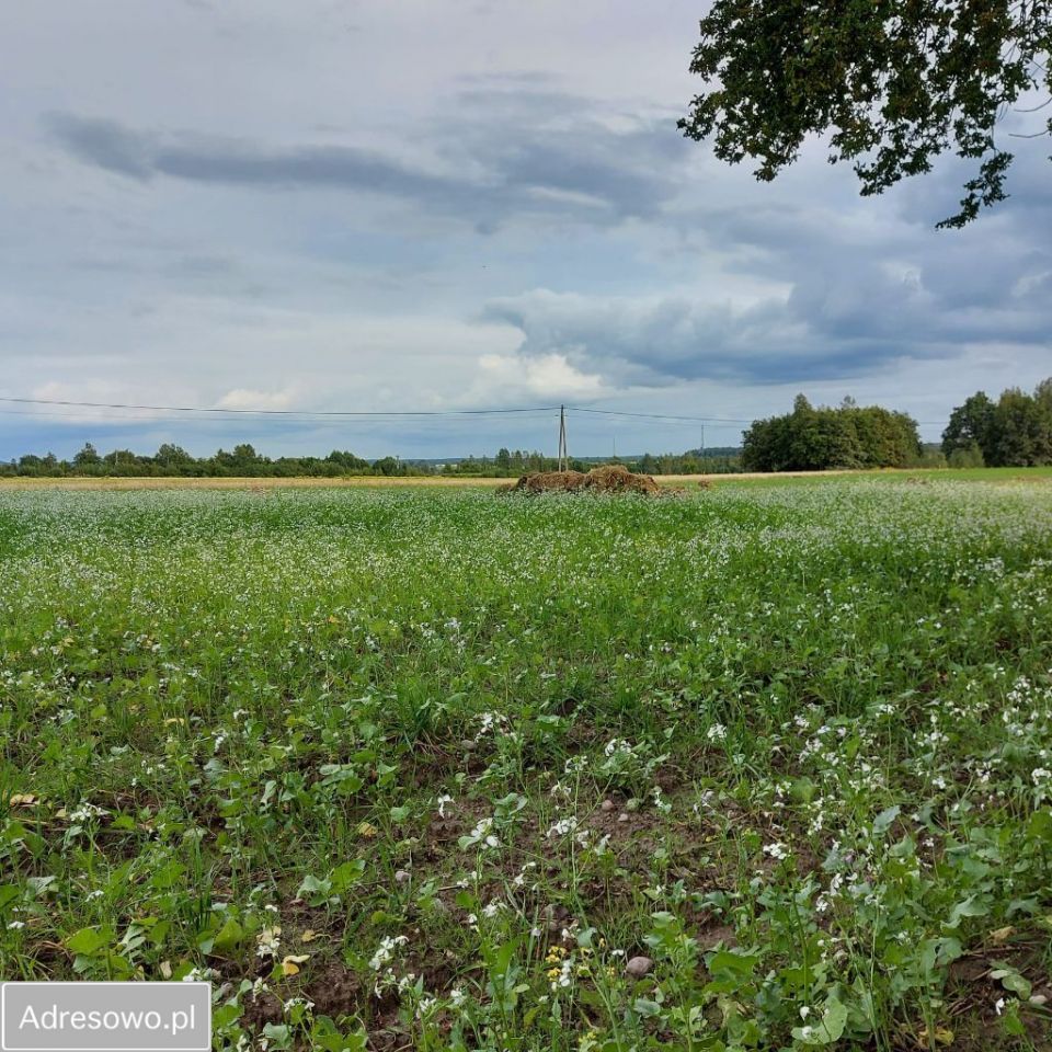 Działka siedliskowa Budy Dłutowskie. Zdjęcie 6