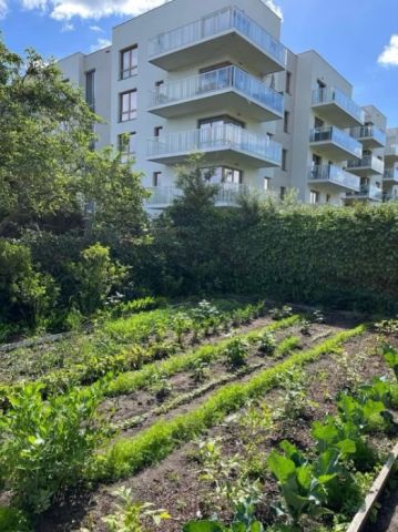 Działka rekreacyjna Gdańsk Zaspa, ul. Powstańców Wielkopolskich. Zdjęcie 1