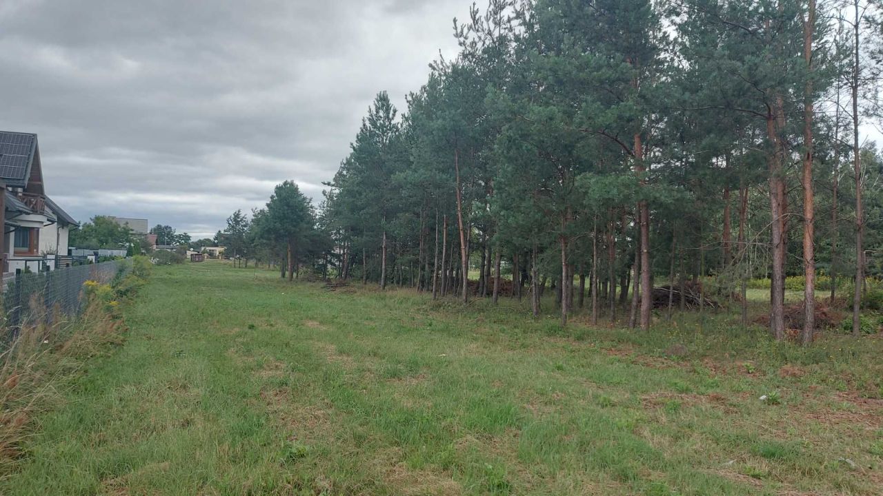 Działka rolno-budowlana Ryczywół. Zdjęcie 2