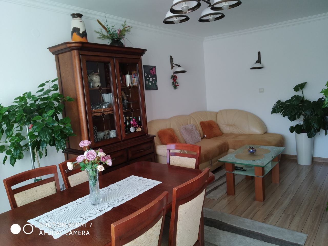 Mieszkanie 3-pokojowe Skołyszyn. Zdjęcie 3