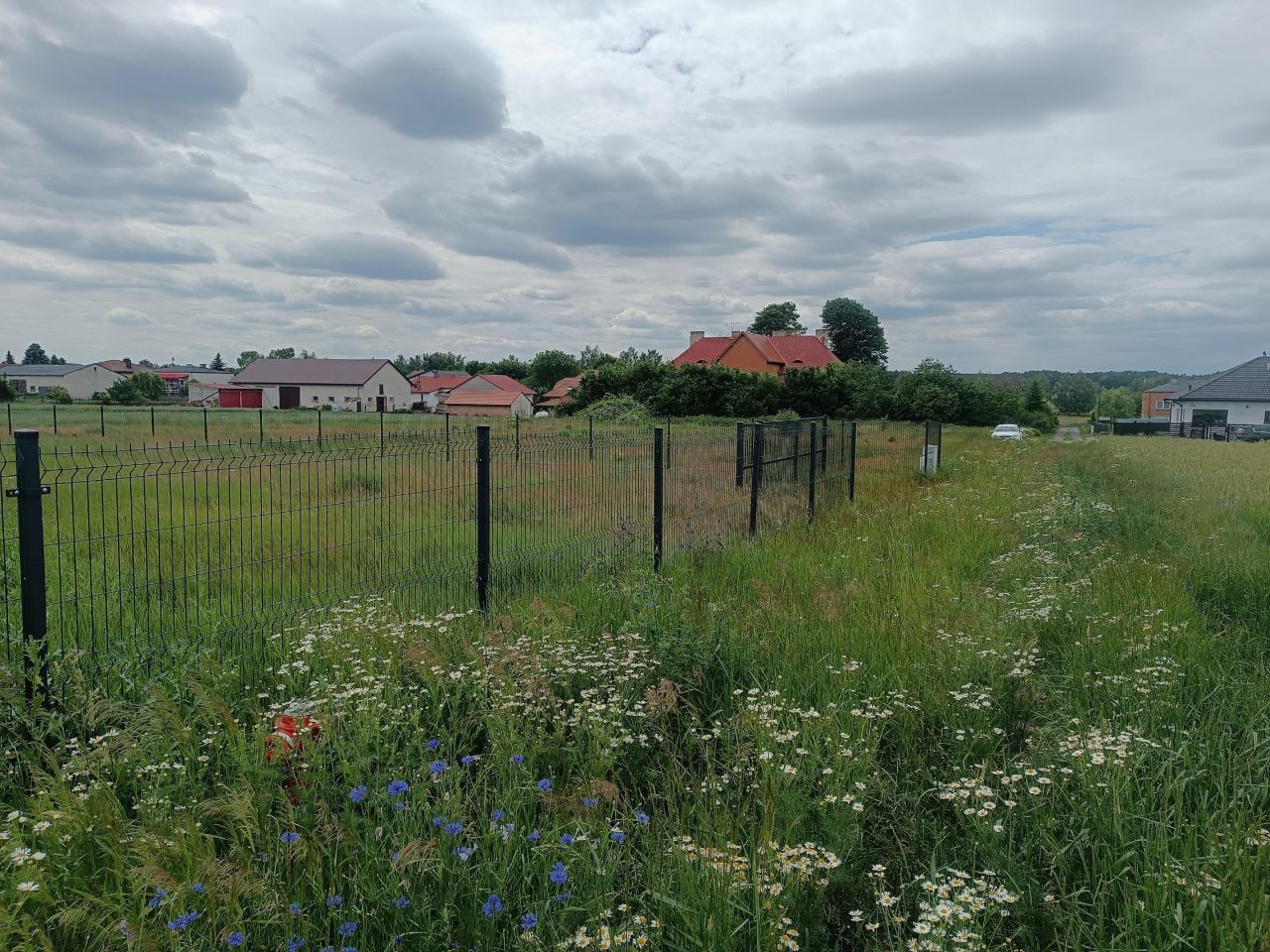 Działka inna Krężna kolonia. Zdjęcie 10