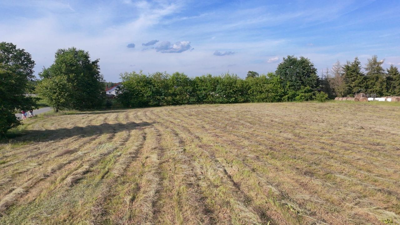 Działka budowlana Mąkoszyce Frużów. Zdjęcie 6