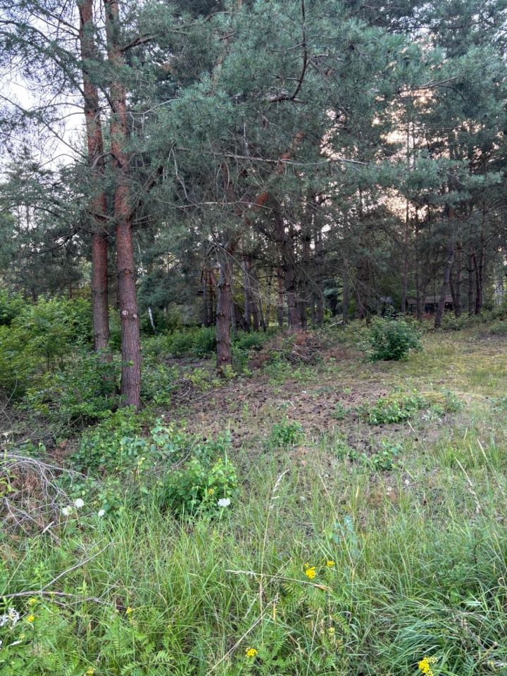 Działka budowlana Złotoryjsko, ul. Piaskowa. Zdjęcie 1