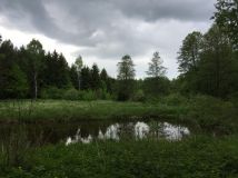 Działka budowlana Spychowo. Zdjęcie 4