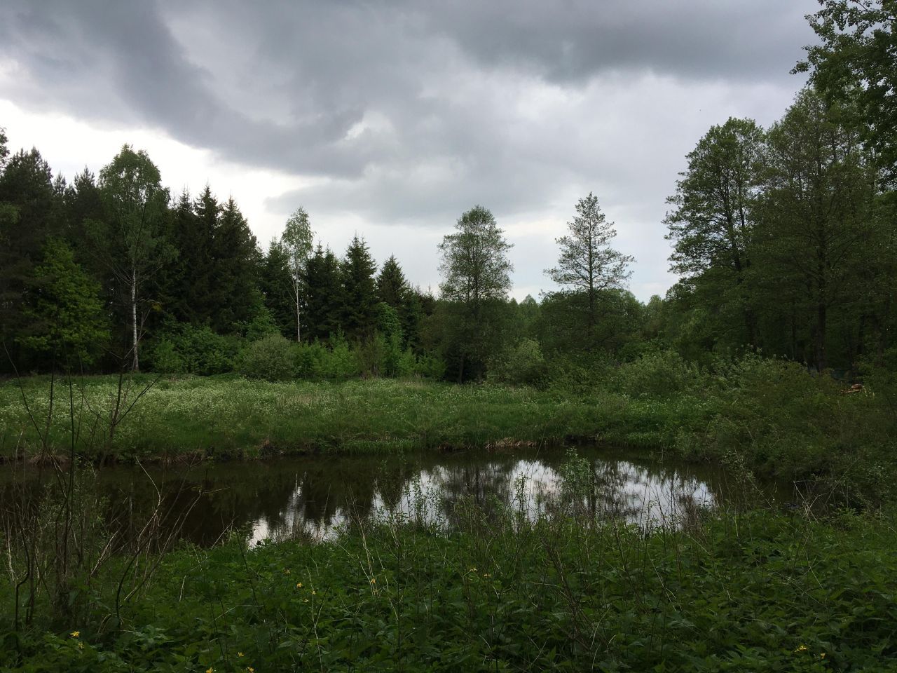 Działka budowlana Spychowo. Zdjęcie 5