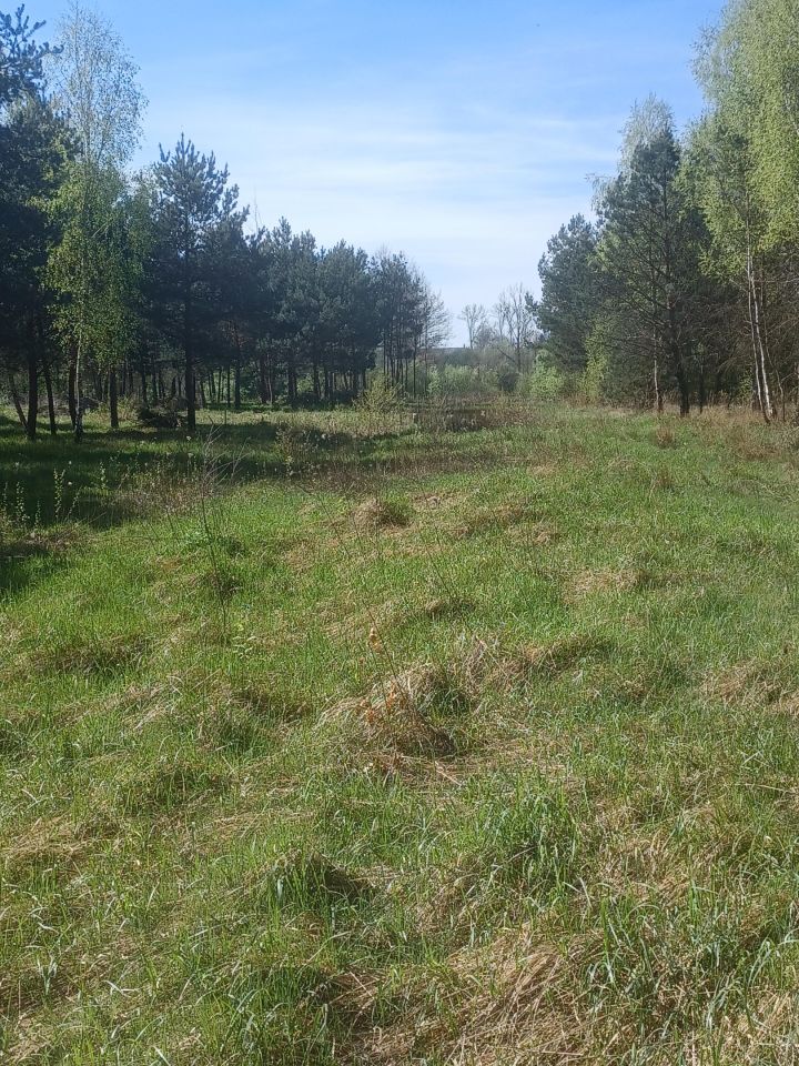 Działka budowlana Basznia Dolna Piaski, ul. Sportowa. Zdjęcie 9