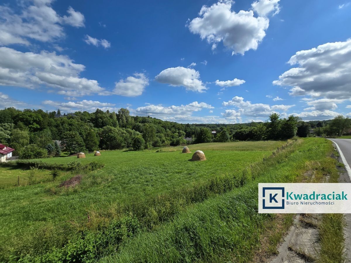 Działka inwestycyjna Barycz. Zdjęcie 4