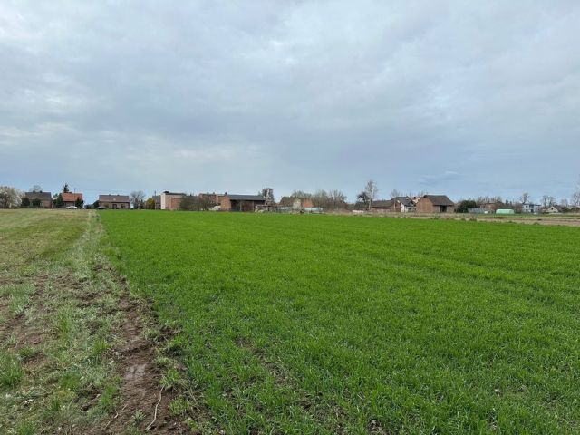 Działka rolno-budowlana Starokrzepice, ul. Oleska. Zdjęcie 1