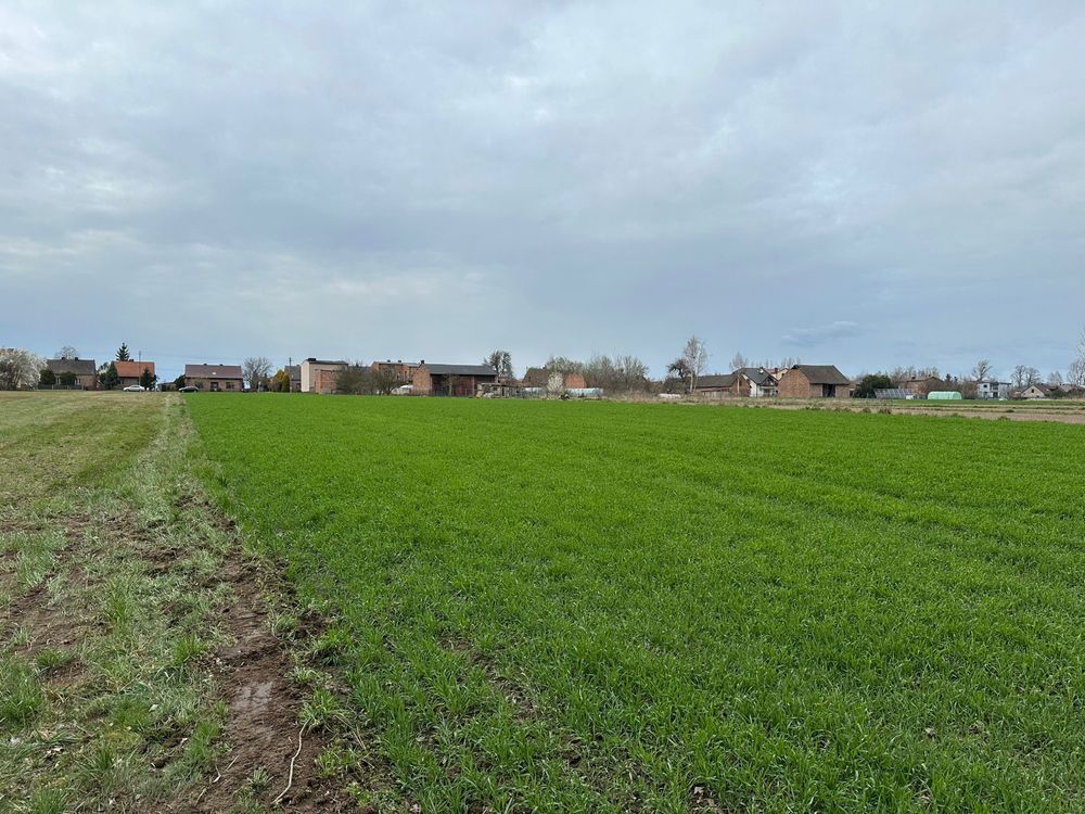 Działka rolno-budowlana Starokrzepice, ul. Oleska