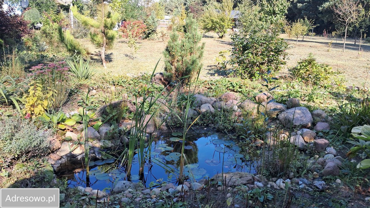 siedlisko, 1 pokój Wólka Szczawińska. Zdjęcie 18