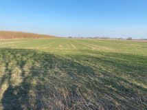 gospodarstwo Dąbrówka Osuchowska Podlesie. Zdjęcie 4