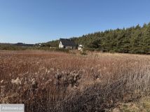 Działka budowlana Charzyno, ul. Willowa. Zdjęcie 1