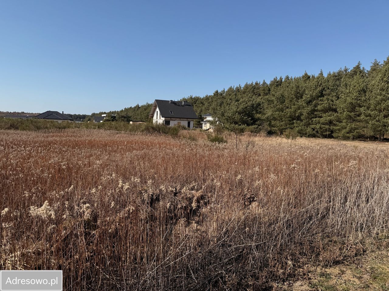 Działka budowlana Charzyno, ul. Willowa. Zdjęcie 2