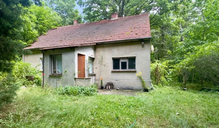 dom wolnostojący Dąbrowa