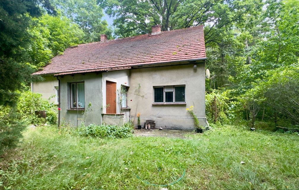 dom wolnostojący Dąbrowa. Zdjęcie 1