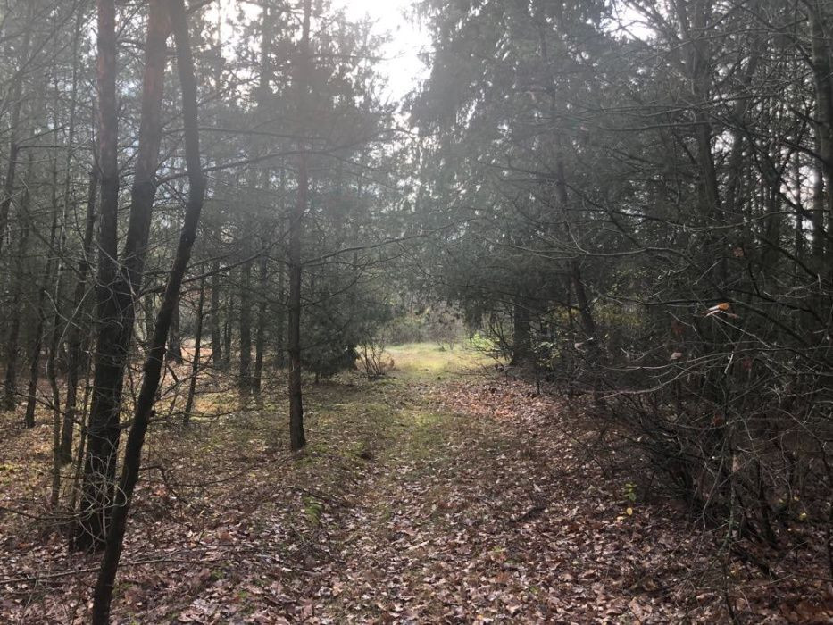 Działka budowlana Kobylin. Zdjęcie 7