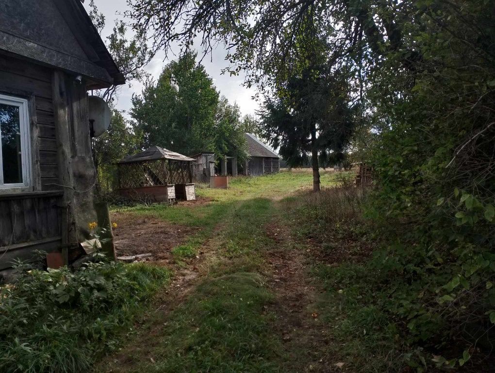 Działka siedliskowa Poniatowicze. Zdjęcie 5