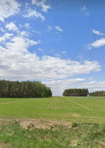 Działka rolno-budowlana Knyszyn, ul. Grodzieńska. Zdjęcie 1