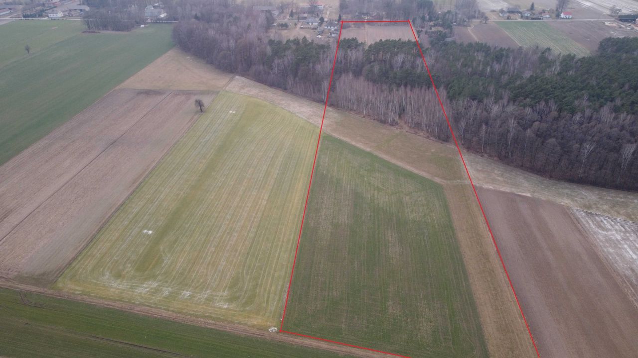 Działka rolno-budowlana Lesieniec. Zdjęcie 6