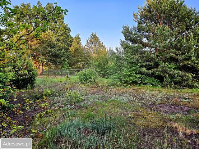 Działka budowlana Kania Nowa, ul. Sokola. Zdjęcie 1