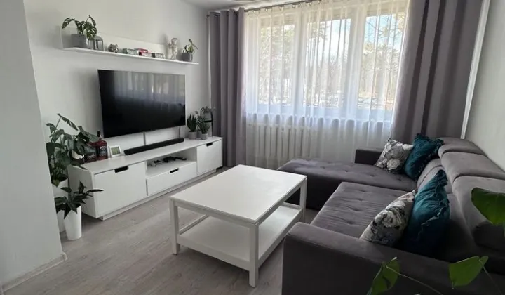 Mieszkanie 3-pokojowe Drezdenko