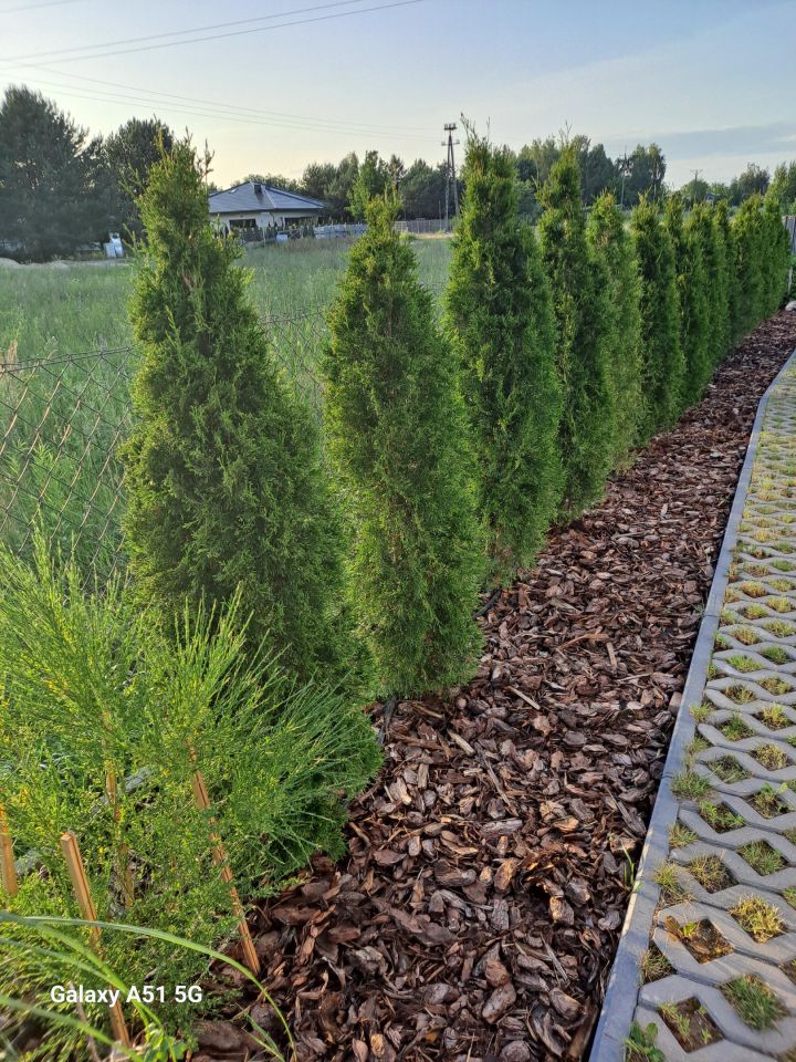 dom wolnostojący, 5 pokoi Aleksandrów Kujawski. Zdjęcie 8