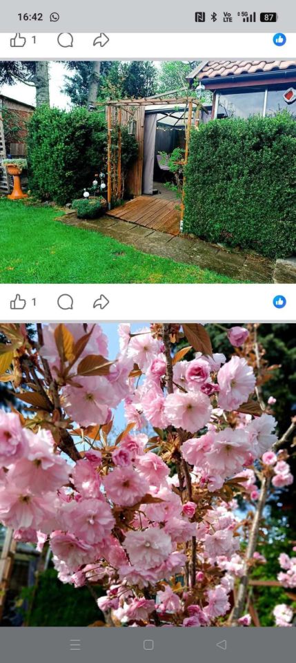 Działka rod Koszalin, ul. Działkowa. Zdjęcie 2