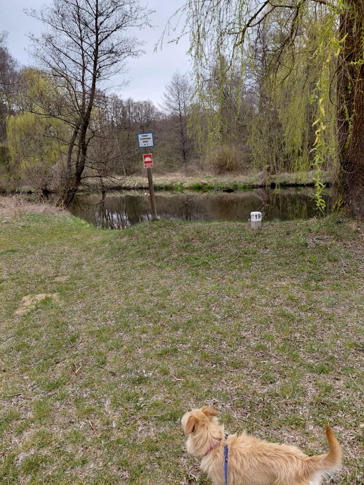 dom wolnostojący, 4 pokoje Domyśl. Zdjęcie 25