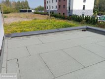 dom wolnostojący, 4 pokoje Rybie, ul. Kawki. Zdjęcie 2