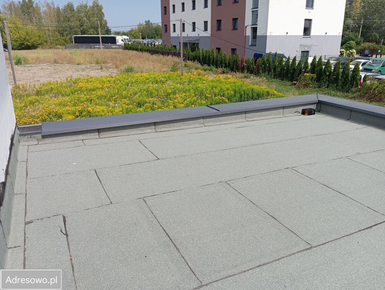 dom wolnostojący, 4 pokoje Rybie, ul. Kawki. Zdjęcie 3