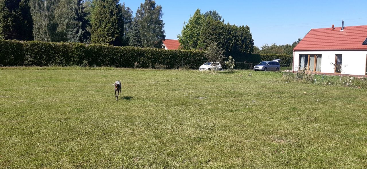 Działka budowlana Osola, ul. Wiśniowa. Zdjęcie 2