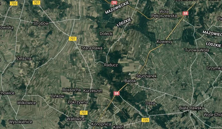 Działka leśna Raducz