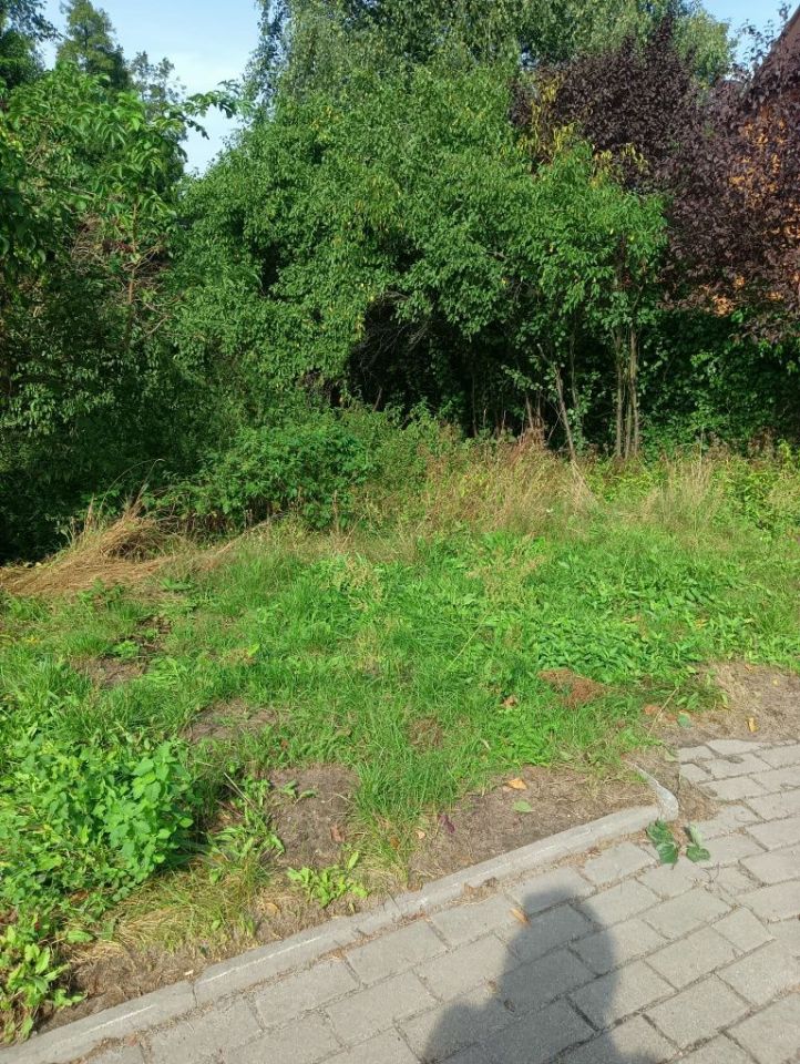 Działka rolna Wągrowiec, ul. Rogozińska. Zdjęcie 3