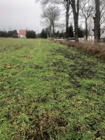 Działka budowlana Rogoźno, ul. Boguniewska. Zdjęcie 1